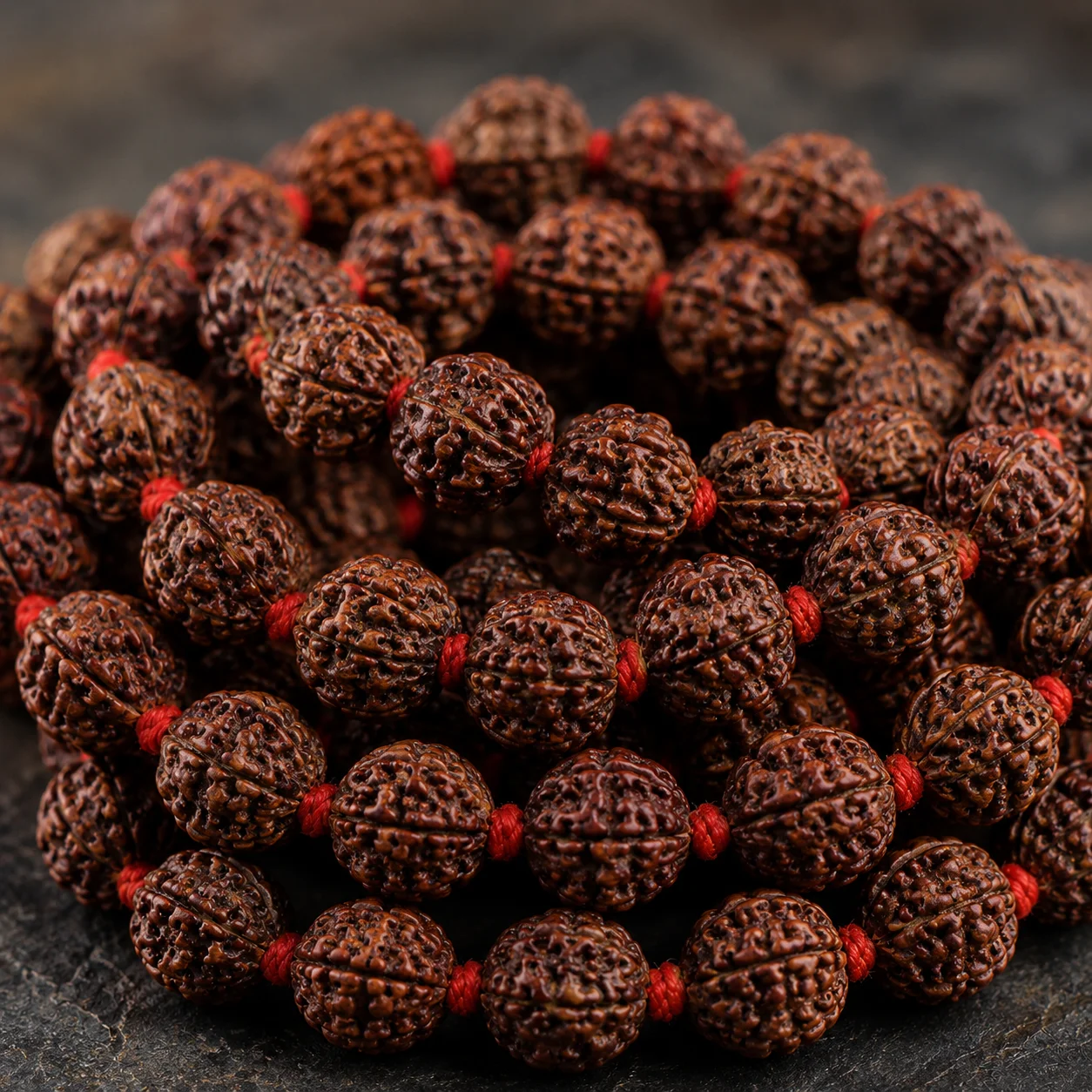 Rudraksha (Tears of  Lord Shiva) view 2